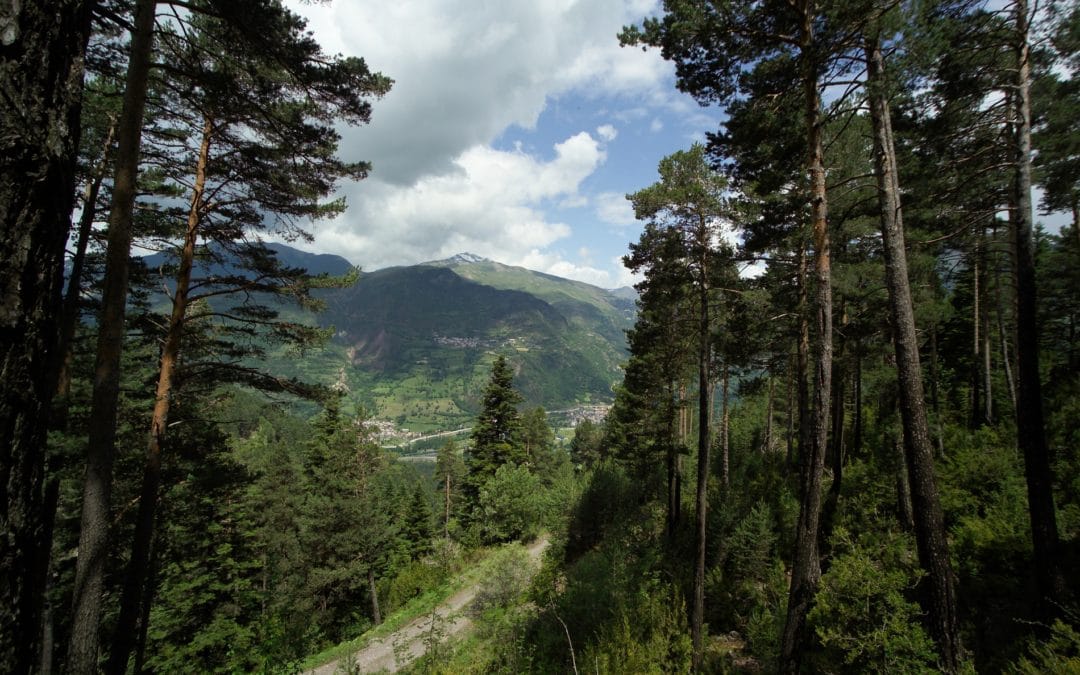 ¿Dónde estamos? Valle de Chistau, Sobrarbe, Pirineo